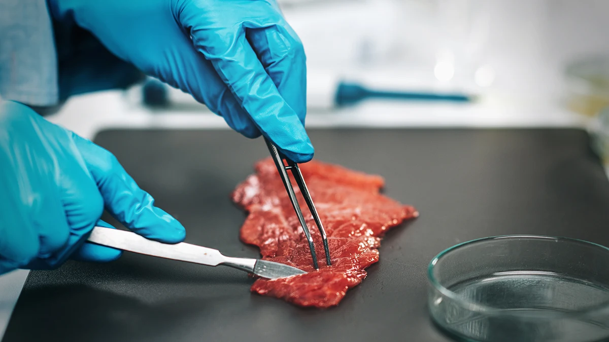 Até o New York Times tem dúvidas sobre a "carne de laboratório" e levanta preocupações