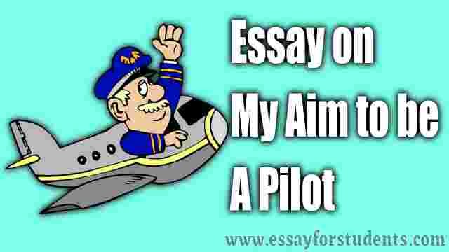 my future ambition essay pilot
