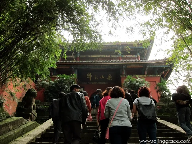 what to do in chengdu
