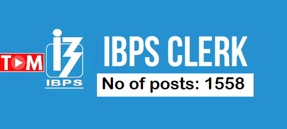 IBPS Clerk Jobs