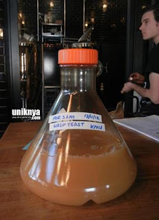 blogger--pemalaz.blogspot.com - Blogger pemalaz: 5 Minuman Alkohol yang di Buat Dengan Bahan Unik