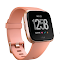 Fitbit Unisex Versa Special Edition Health and Fitness Smartwatch