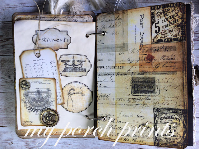 Lady Scientist Steampunk Junk Journal by My Porch Prints