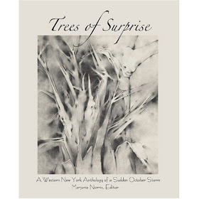 http://www.blazevox.org/index.php/Shop/Poetry/the-trees-of-surprise-a-western-new-york-anthology-of-the-surprise-october-storm-314/