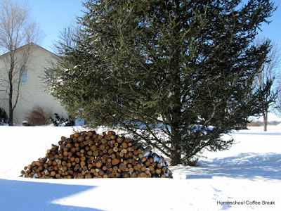 A Snow Day PhotoJournal on Homeschool Coffee Break @ kympossibleblog.blogspot.com