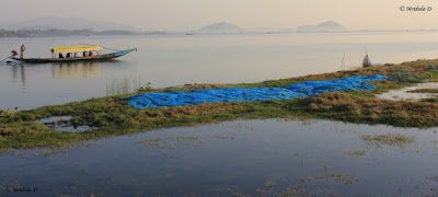 Chilika Lake 