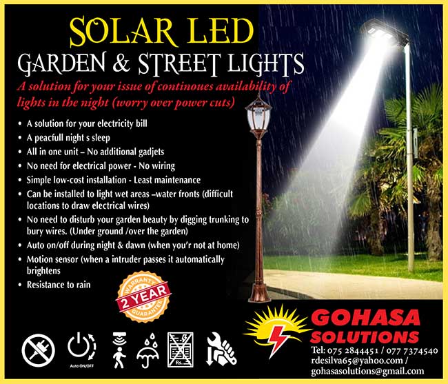 Solar LED Garden & Street Lights.