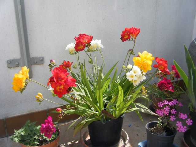 2010_04080001.JPG