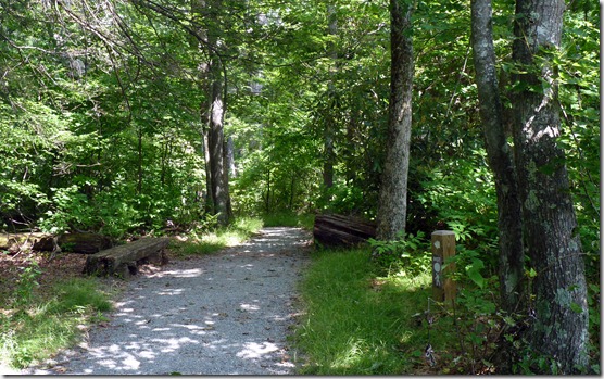 2012-07-24 Blue Ridge Parkway MP 295-254  (46)