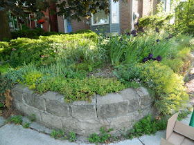 Riverdale Front Garden Summer Cleanup Before by Paul Jung Gardening Services--a Toronto Organic Gardener