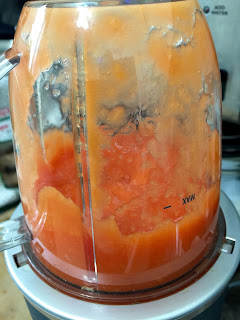 Papaya baby food puree