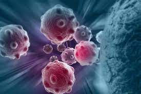 Immuno-Oncology Assays