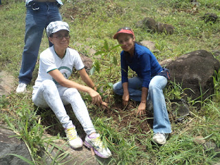 Reforestación Cerro Tecana Nueva Acrópolis Santa Ana