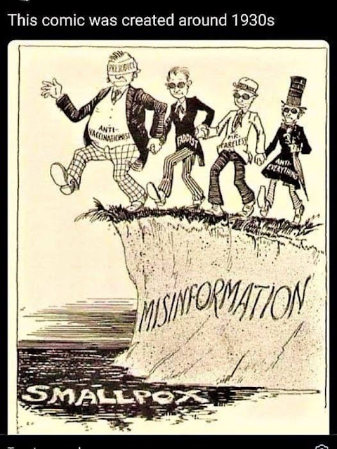 smallpox and the anti-vaxxers cartoon from the 1930's shows people walking off a cliff