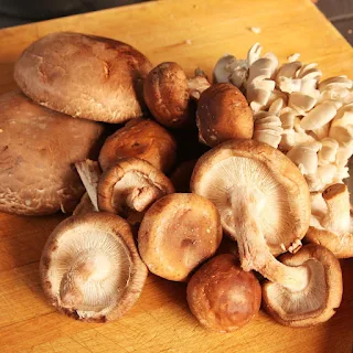 What kind of mushroom has the most vitamin D?