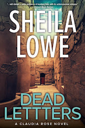 Book cover for Dead Letters by Sheila Lowe