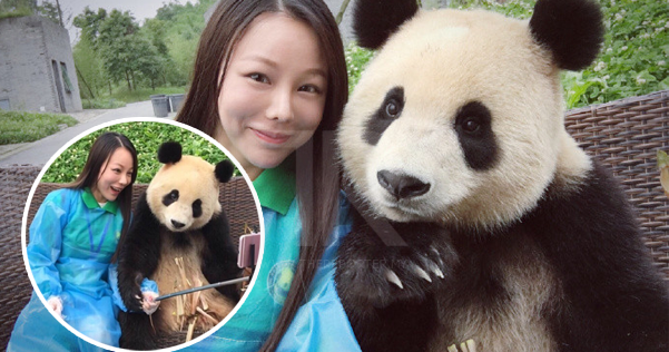  Panda pun pandai posing untuk gambar selfie dengan pelancong