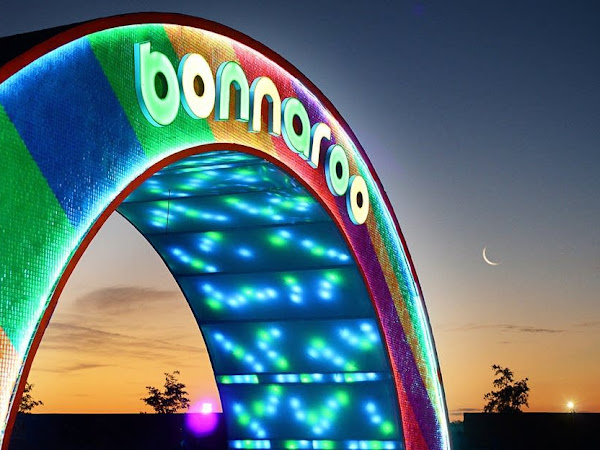 How To || Go To Bonnaroo