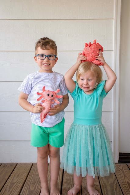 Explorer Raglan and Lagoon Dress