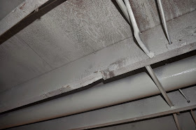 grand distinction, grand distinction paint, grand distinction airy mint, ceiling, basement, paint, painted ceiling, joists, joist, flexio 590 sprayer, rolling, exposed basement ceiling, diy, Airy Mint, N233, prepping, taping, reno, chicken wire, poultry wire, projects, menards