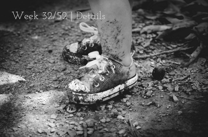 DSC_8893 P52