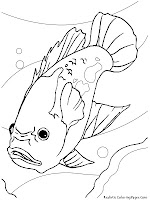Oscar Aquarium Fish Kids Coloring Pages