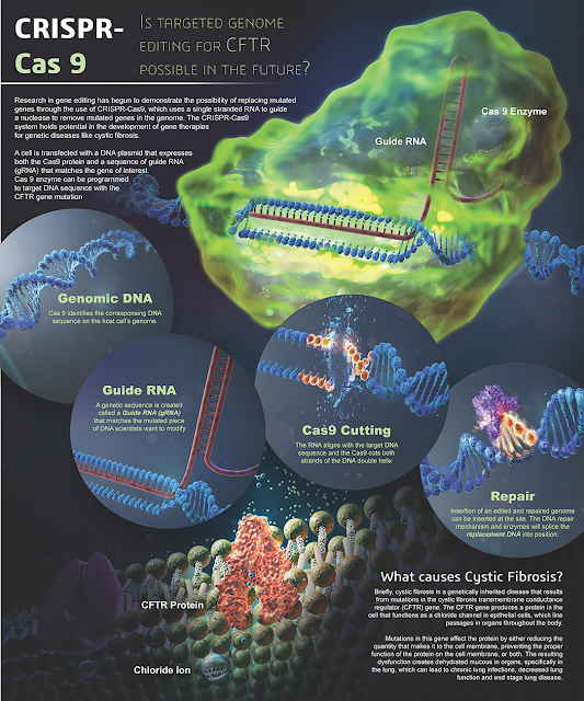 CRISPR-Cas9-Gene-Editing