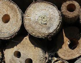 Insect hotel filling up