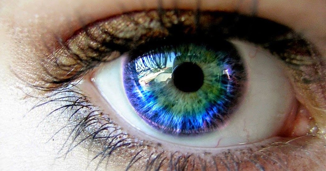 Download This Is How Human Eyes Get Their Color, and It's Simply Amazing!