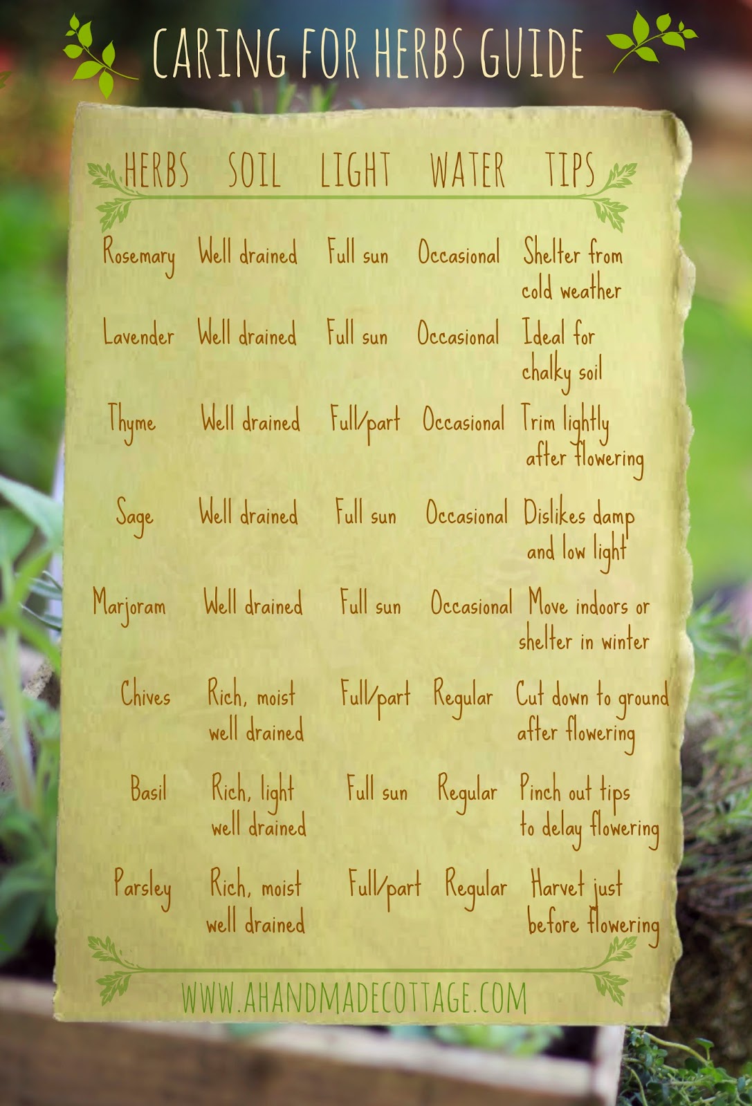 The AHC guide to growing herbs chart
