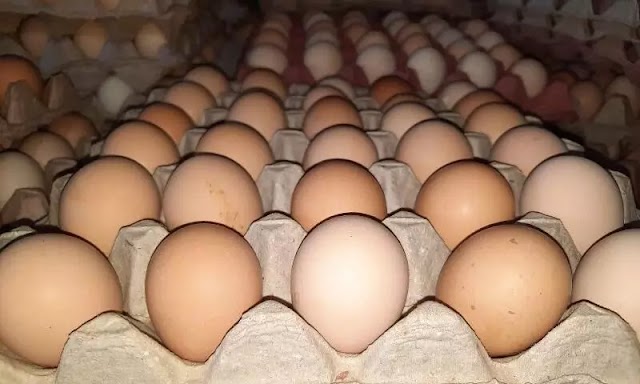  மீண்டும் 2இலட்சம் முட்டைகள் இலங்கை வந்தது 
