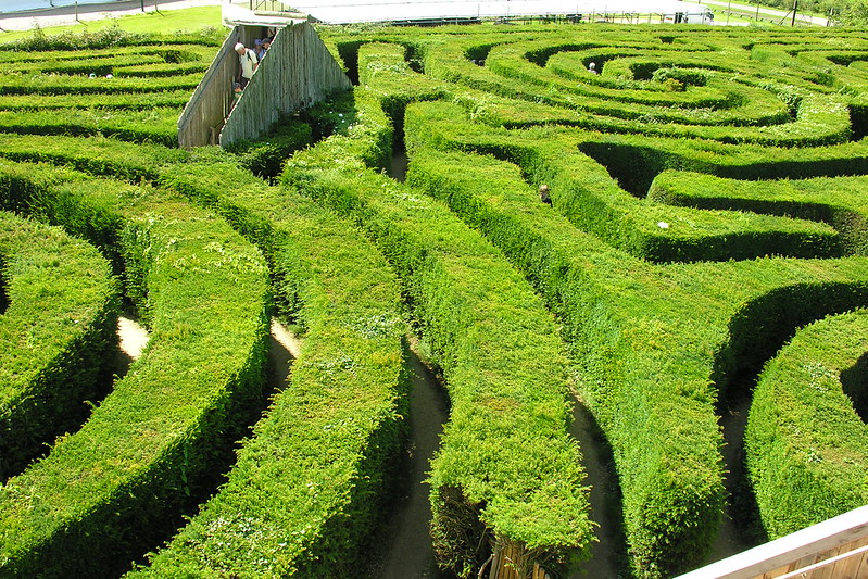 hedge maze, longleat hedge maze, longleat maze, largest hedge maze, biggest maze in the uk, biggest maze in the world, maze england, longleat maze solution, wiltshire's longleat maze, biggest maze in the world, longleat,