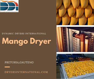 Mango Dryers