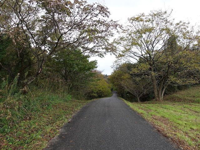 遺構展示館の裏の遊歩道