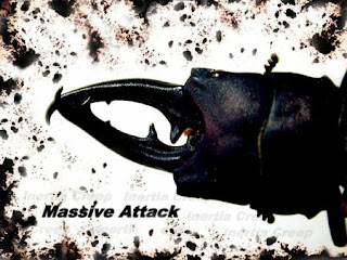 Massive Attack - Attack Of The Piazza Napoleone (2006)