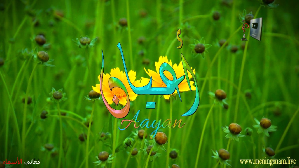 معنى اسم, اعيان, وصفات, حامل, وحاملة, هذا الاسم, Aayan,