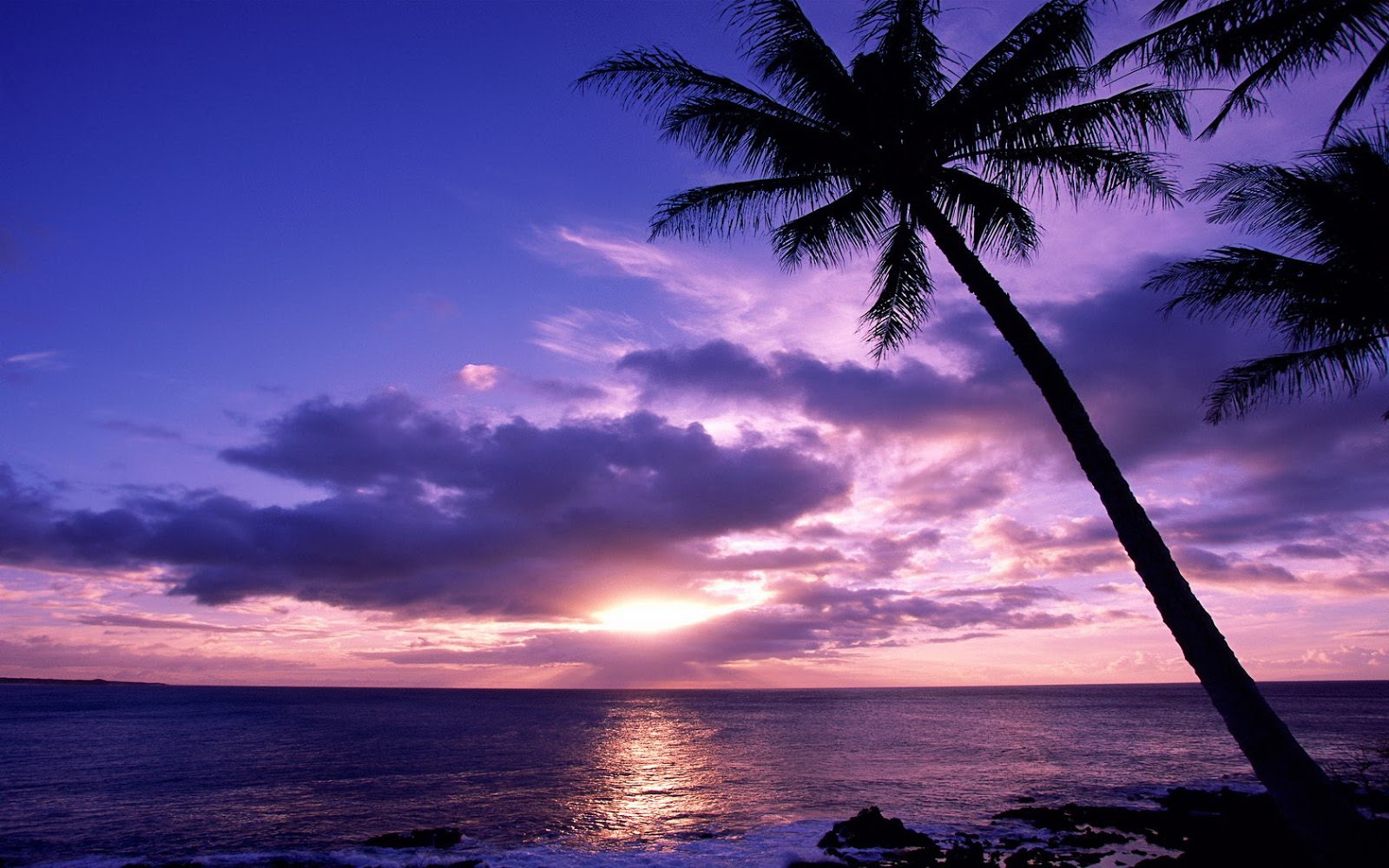 Desktop wallpapers - Best HD Wallpapers