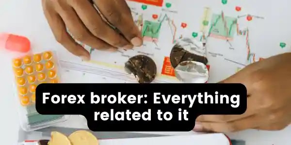 A FX Broker's Function