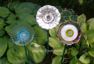 garden-plate-flowers