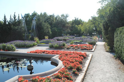 Ponds and flowers