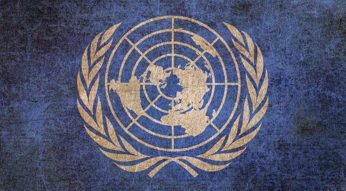 La ONU y la Carta de las Naciones Unidas - Derecho 