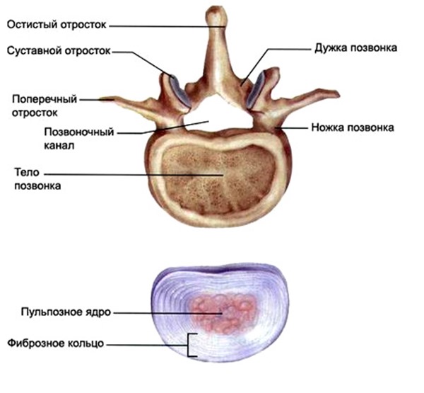 disk-hernia1