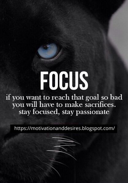 stay focused motivation quote