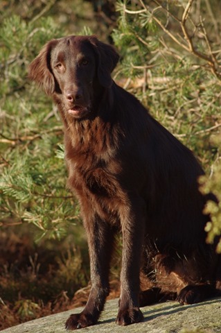 092 (531x800)