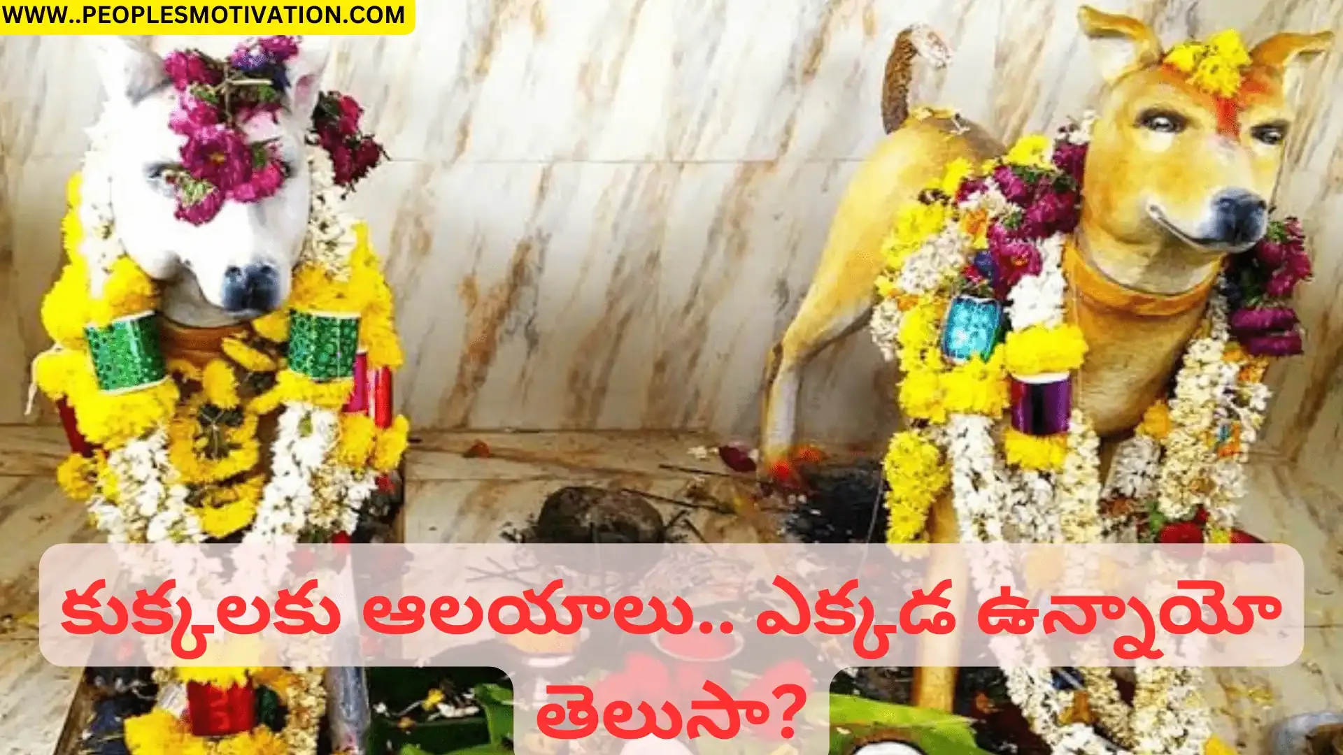 Telugu news  Daily news  Trending news  Latest Telugu news  Interesting news  Breaking Telugu news    govt jobs ssc jobs current affairs in india