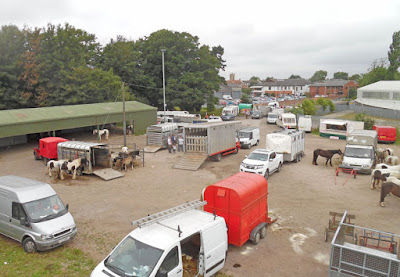 Brigg Horse Fair 2016 - picture 25 on Nigel Fisher's Brigg Blog