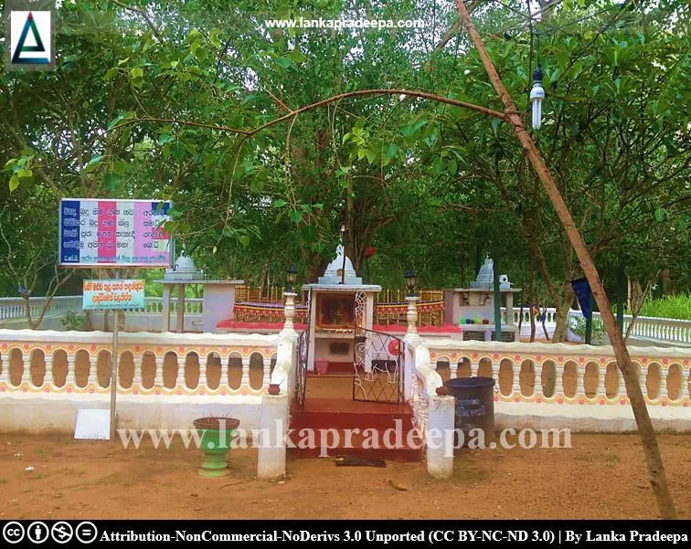 The Padiyadora Bodhi tree