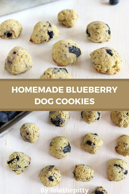 Blueberry Dog Cookies