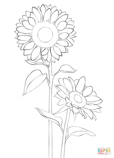 Click The Sunflower Coloring Pages To View Printable Version Or Color It  Online Patible With Ipad And Android Tablets