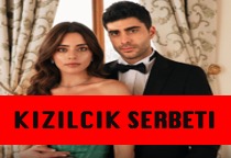 Ver Serie Kizilcik Serbeti Capítulos Completos